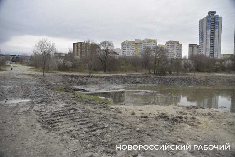 Аллея Дружбы, посаженная в Новороссийске 6 лет назад, может погибнуть – ее завалили илом