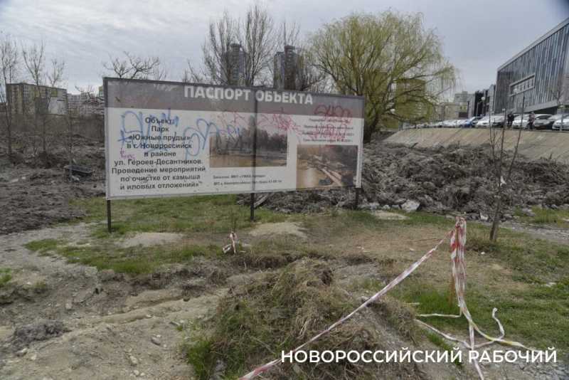 Аллея Дружбы, посаженная в Новороссийске 6 лет назад, может погибнуть – ее завалили илом
