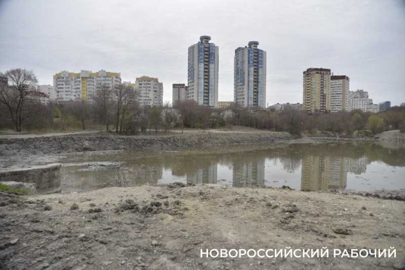 Аллея Дружбы, посаженная в Новороссийске 6 лет назад, может погибнуть – ее завалили илом