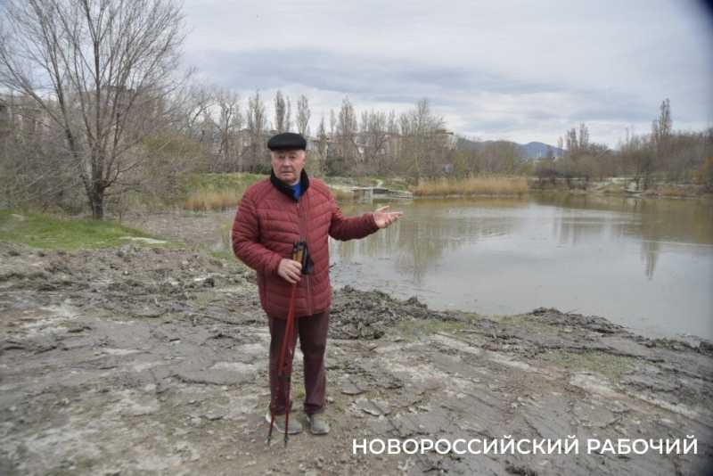 Аллея Дружбы, посаженная в Новороссийске 6 лет назад, может погибнуть – ее завалили илом
