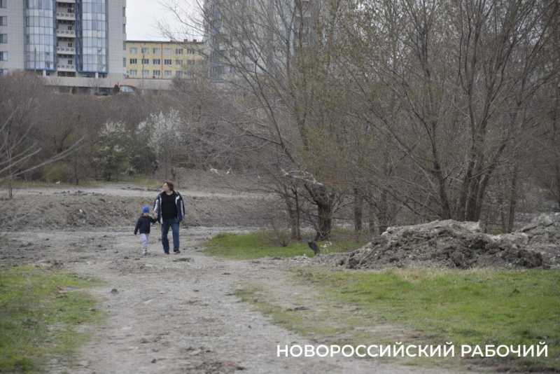 Аллея Дружбы, посаженная в Новороссийске 6 лет назад, может погибнуть – ее завалили илом