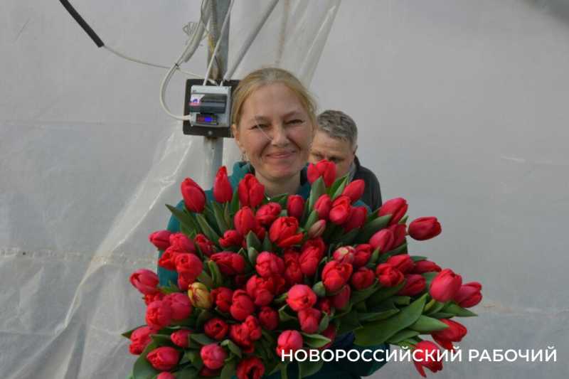 Фермер под Новороссийском к 8 Марта вырастил редчайший «аленький цветочек» и 300 тысяч тюльпанов