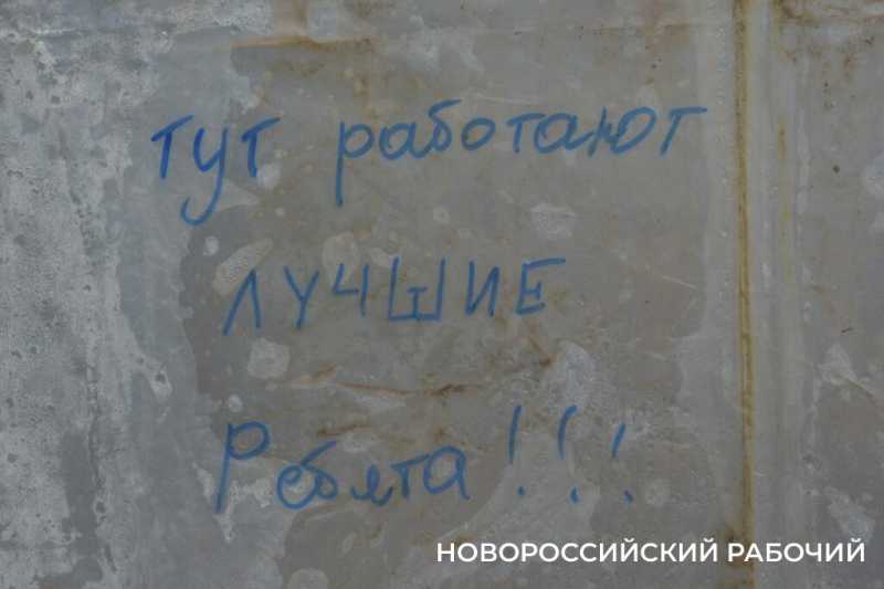 Фермер под Новороссийском к 8 Марта вырастил редчайший «аленький цветочек» и 300 тысяч тюльпанов