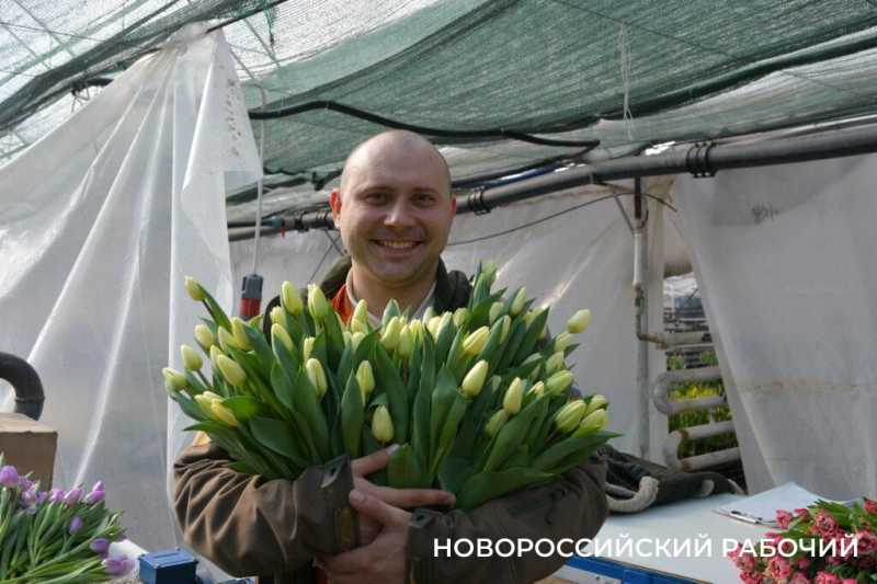 Фермер под Новороссийском к 8 Марта вырастил редчайший «аленький цветочек» и 300 тысяч тюльпанов