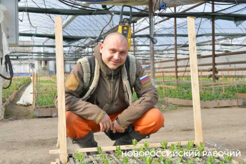 Фермер под Новороссийском к 8 Марта вырастил редчайший «аленький цветочек» и 300 тысяч тюльпанов