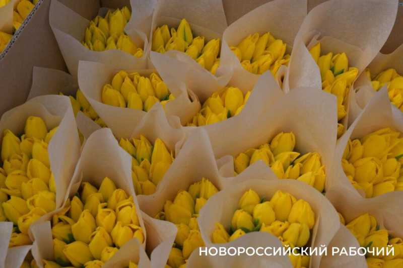 Фермер под Новороссийском к 8 Марта вырастил редчайший «аленький цветочек» и 300 тысяч тюльпанов