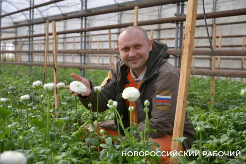 Фермер под Новороссийском к 8 Марта вырастил редчайший «аленький цветочек» и 300 тысяч тюльпанов