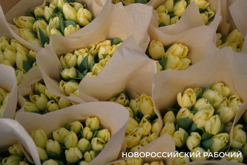 Фермер под Новороссийском к 8 Марта вырастил редчайший «аленький цветочек» и 300 тысяч тюльпанов