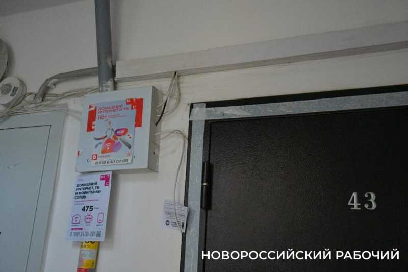 Кот ел кота, а тараканы сыпались с потолка. В Новороссийске не меньше 200 квартир, которые хозяева … по самые уши