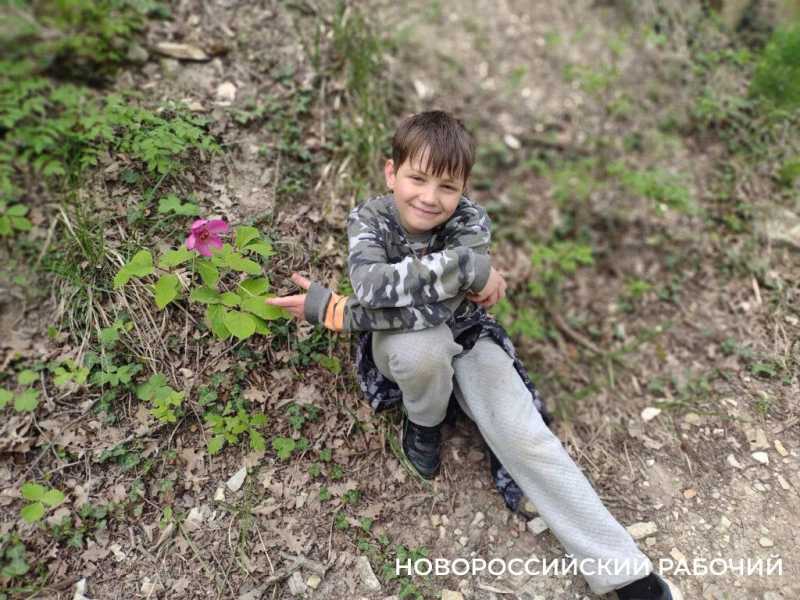 Куда в Новороссийске любителям тайн и леса сходить в выходные