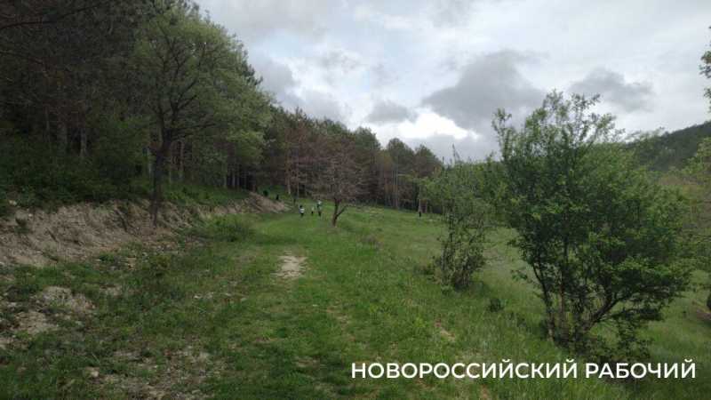 Куда в Новороссийске любителям тайн и леса сходить в выходные