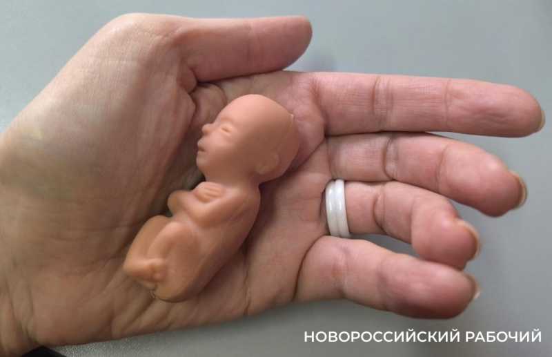 «Мы решили рожать!» В Новороссийске работают над тем, чтобы абортов было меньше