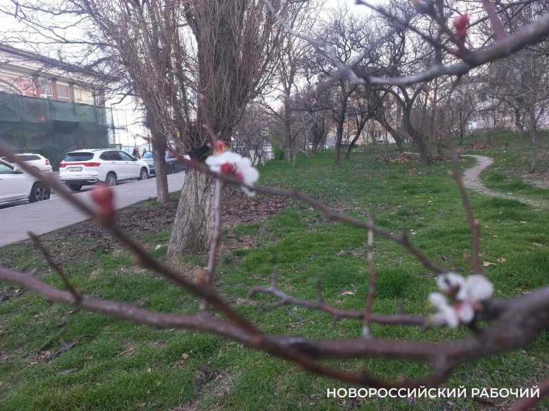 О духовном центре, предвкушении весны и путешествии в одиночку: советы дня от «НР»