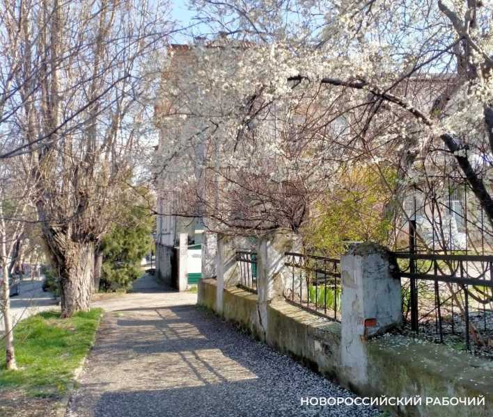 О почтовой открытке, морском кладе и прокрастинации: советы дня от «НР»