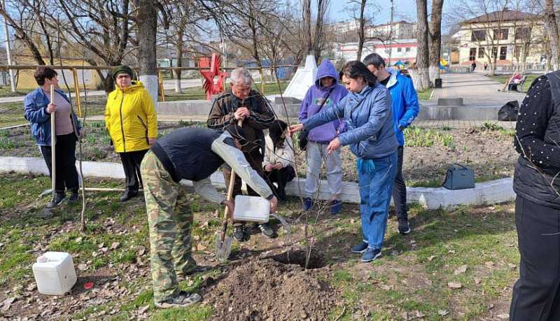 Общегородская акция «Начни с себя!» объединила несколько тысяч неравнодушных новороссийцев