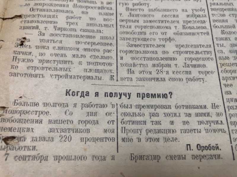 Перезимовали! С чем вас и поздравляем! Весна в Новороссийске – всегда что-то особенное! 