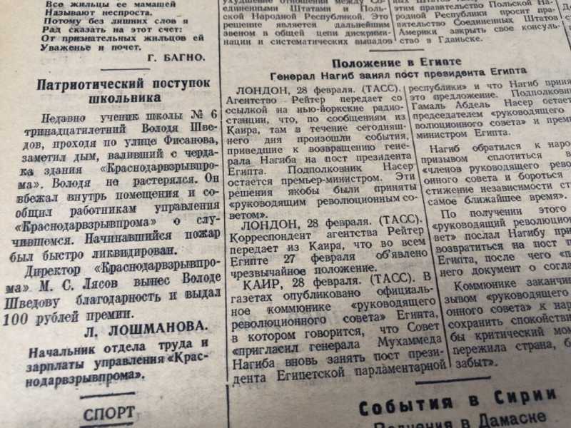 Перезимовали! С чем вас и поздравляем! Весна в Новороссийске – всегда что-то особенное! 