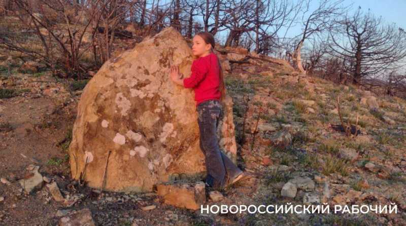 Под Новороссийском на месте выгоревшего реликтового леса проснулась жизнь