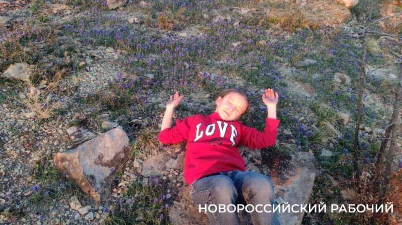 Под Новороссийском на месте выгоревшего реликтового леса проснулась жизнь