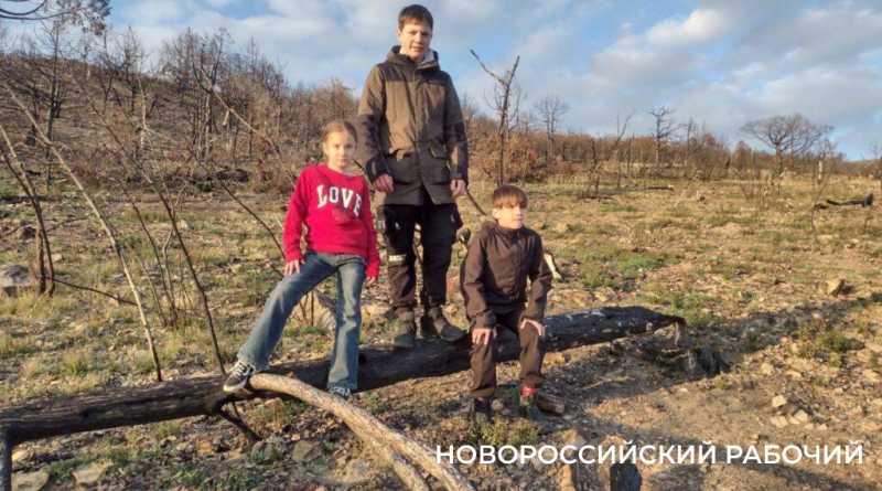 Под Новороссийском на месте выгоревшего реликтового леса проснулась жизнь