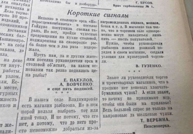 Про иностранцев, настоящих врачей, жареную тарань и Дворец спорта, который никогда не построят в Новороссийске