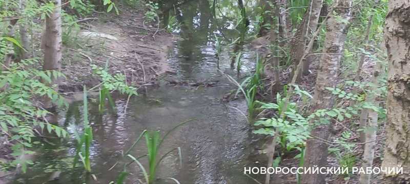 Прокуратура требует запретить работу автомойки в водоохранной зоне
