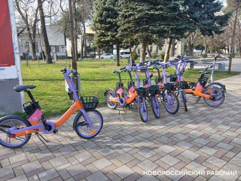 Стало понятно, кому в Новороссийске запрещено ездить по набережной, а кому можно