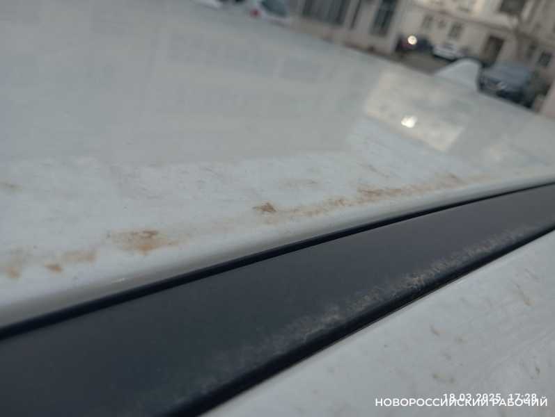 В Новороссийске автомобили стали пятнистыми