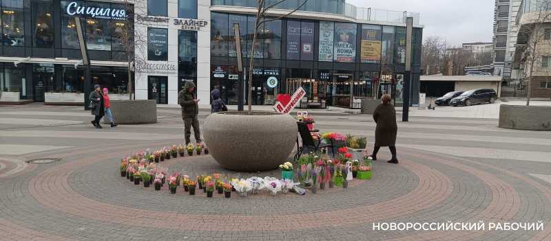 В Новороссийске цены на цветы к 8 Марта выросли в цене на 50-100 рублей за штуку