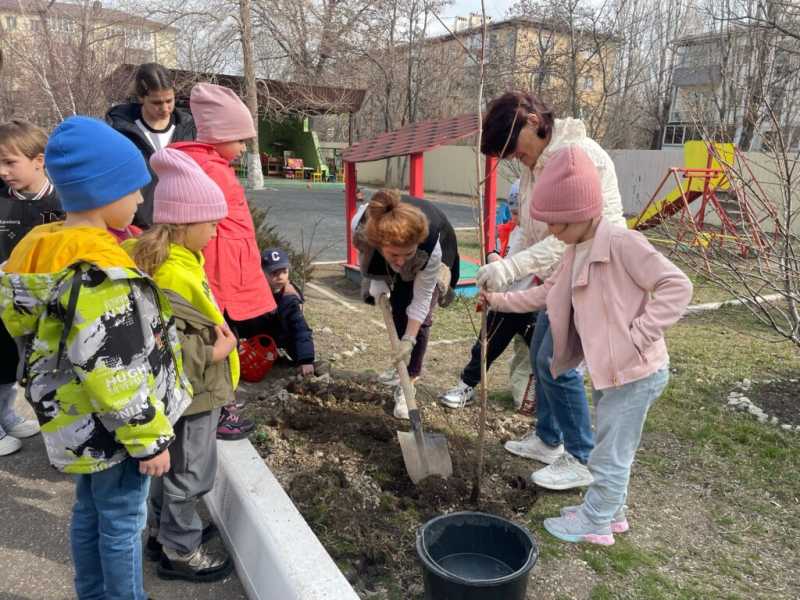 В Новороссийске детсадовцы сделали самое важное дело Весны &mdash; посадили деревья!