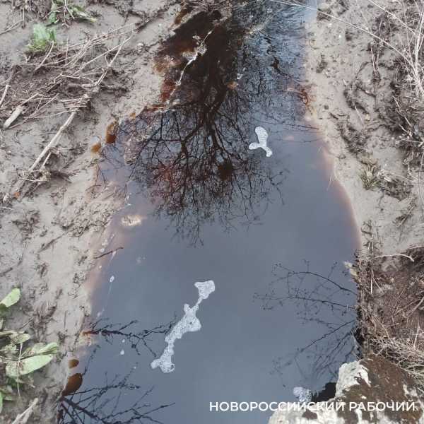 В Новороссийске фильтрат прорвался с горящей свалки в лесной массив