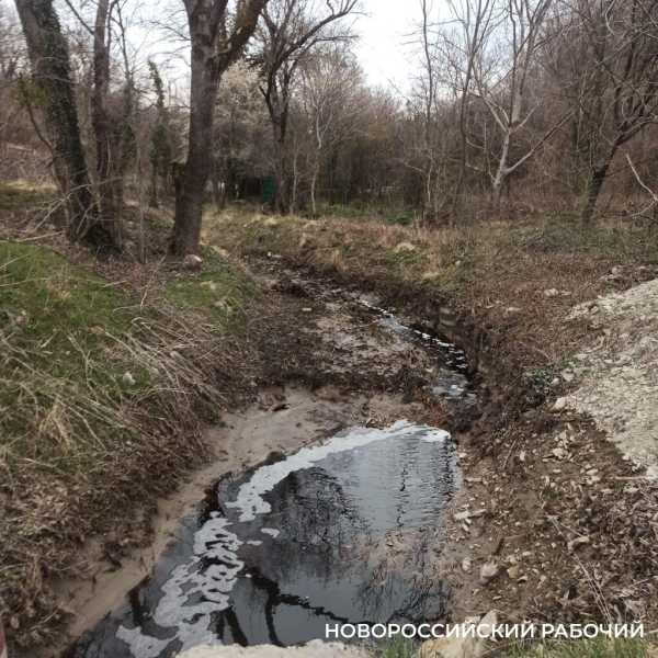 В Новороссийске фильтрат прорвался с горящей свалки в лесной массив