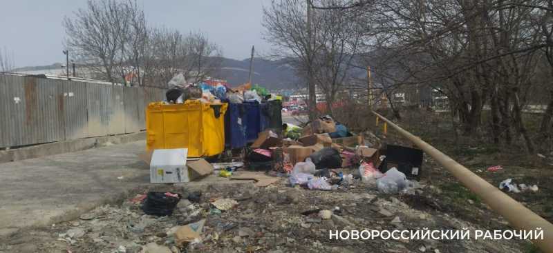В Новороссийске горящий полигон продолжает принимать мусор. Почему же переполнены контейнеры?