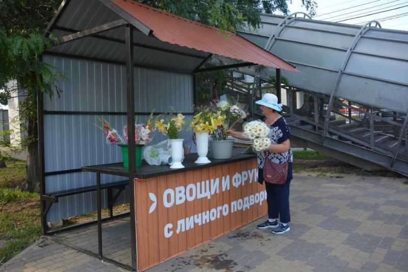 В Новороссийске горожан попросили сообщать куда надо о нелегальных торговцах