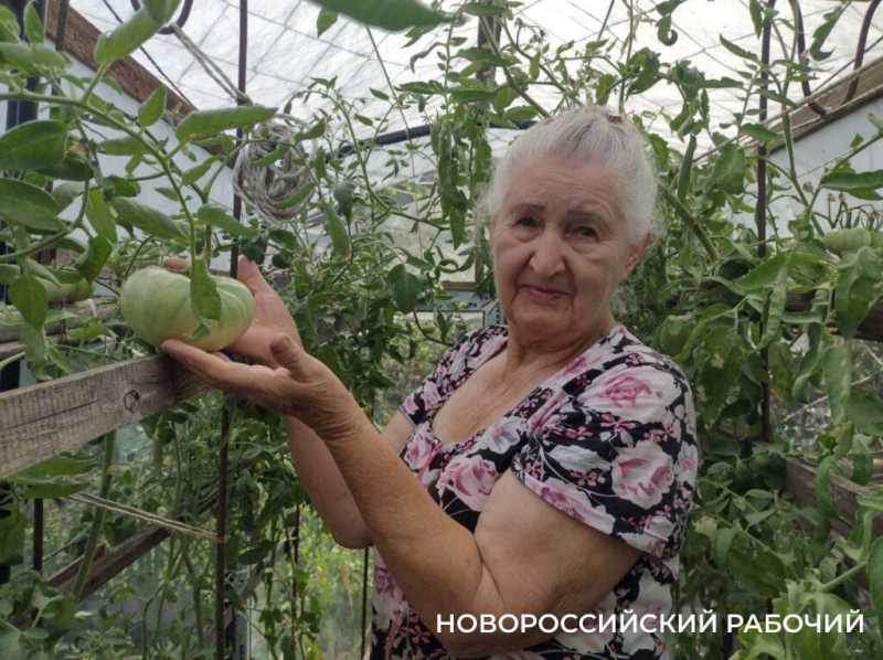 В Новороссийске готовы к посадкам черри, кипарисов, дубков и опунций. А что вы сажать будете?
