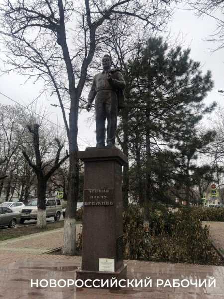 В Новороссийске начали спасать кустарники в сквере Брежнева