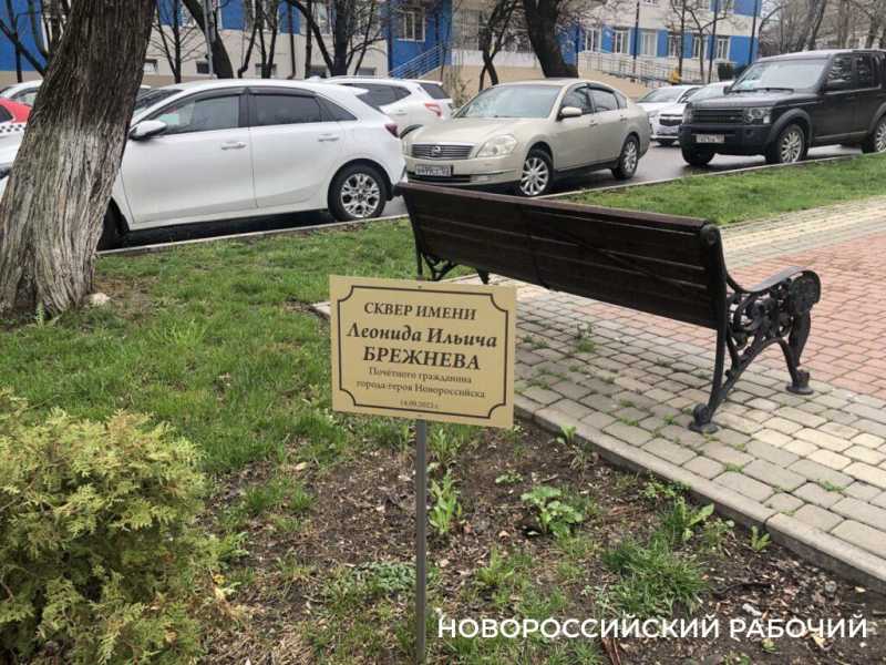 В Новороссийске начали спасать кустарники в сквере Брежнева