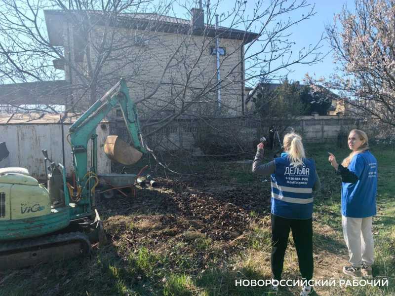 В Новороссийске не будут строить госпиталь для спасения дельфинов