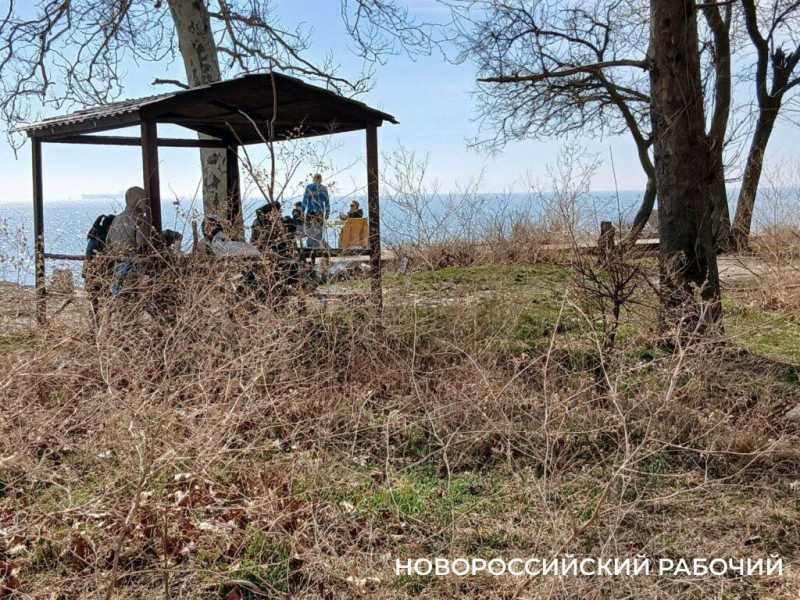 В Новороссийске открыли сезон пикников на берегу моря