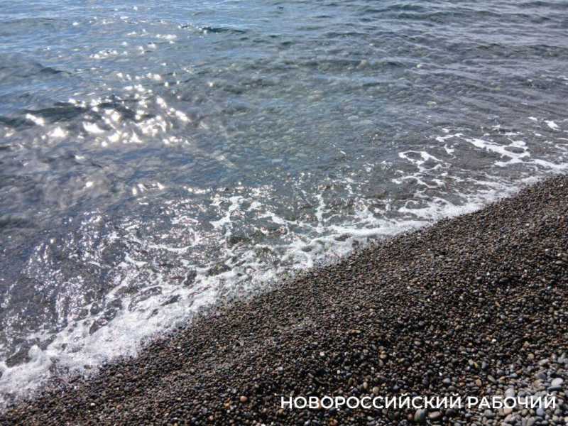 В Новороссийске открыли сезон пикников на берегу моря