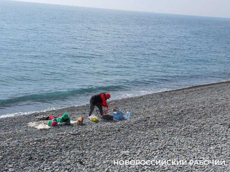 В Новороссийске открыли сезон пикников на берегу моря
