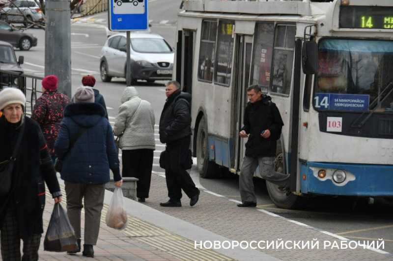 В Новороссийске поборются за городские маршруты и пассажиров. Чего ждать?