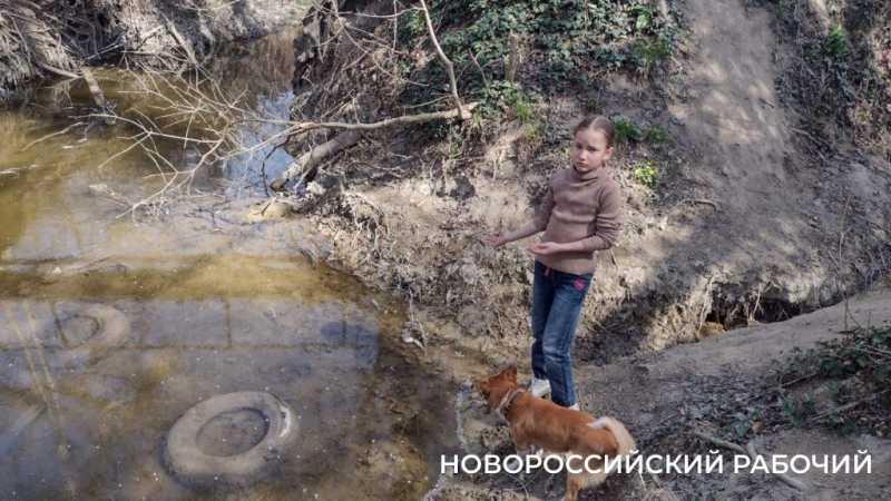 В Новороссийске после попадания стоков с горящего мусорного полигона погибла рыба в речке Озерейке