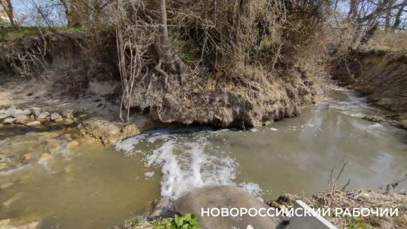 В Новороссийске после попадания стоков с горящего мусорного полигона погибла рыба в речке Озерейке