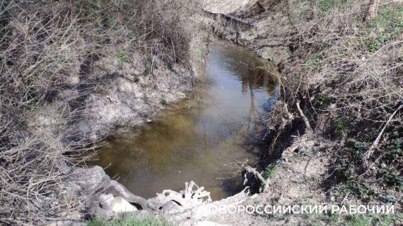 В Новороссийске после попадания стоков с горящего мусорного полигона погибла рыба в речке Озерейке