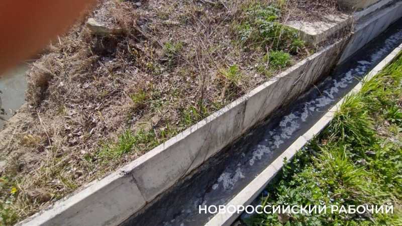 В Новороссийске после попадания стоков с горящего мусорного полигона погибла рыба в речке Озерейке
