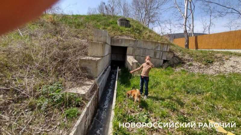 В Новороссийске после попадания стоков с горящего мусорного полигона погибла рыба в речке Озерейке