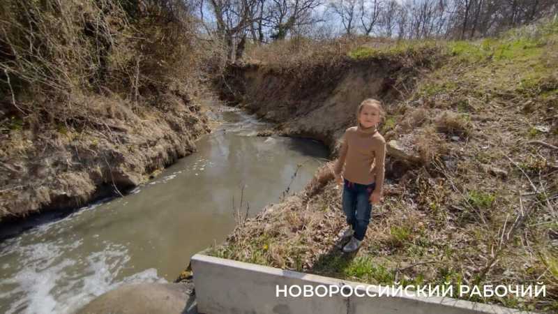 В Новороссийске после попадания стоков с горящего мусорного полигона погибла рыба в речке Озерейке