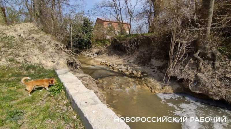 В Новороссийске после попадания стоков с горящего мусорного полигона погибла рыба в речке Озерейке