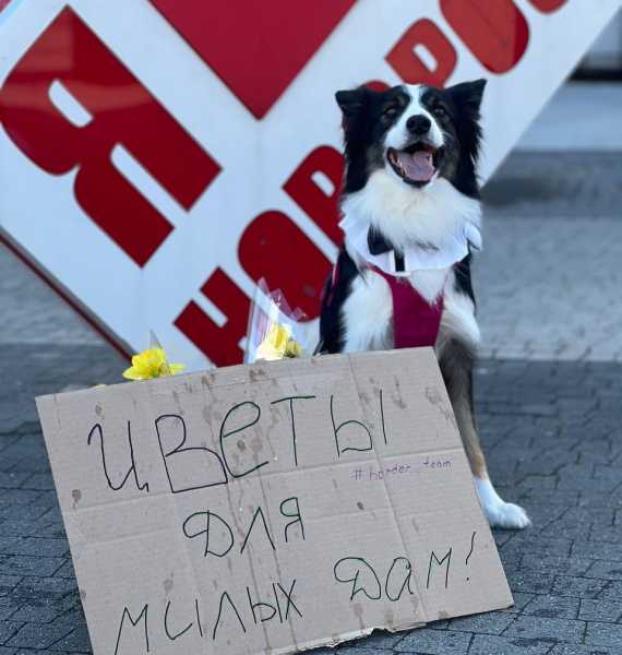 В Новороссийске с 8 Марта женщин от души поздравил милый пес Руф!